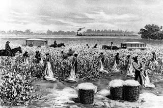 Ситец против шерсти: великое противостояние, изменившее Англию | London Cult.