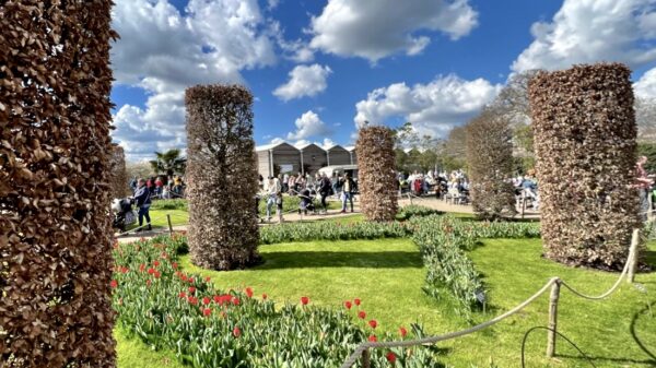 Сады в Wisley – территория экспериментального садоводства | London Cult.