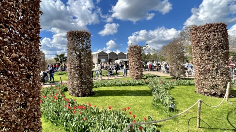 Сады в Wisley – территория экспериментального садоводства | London Cult.