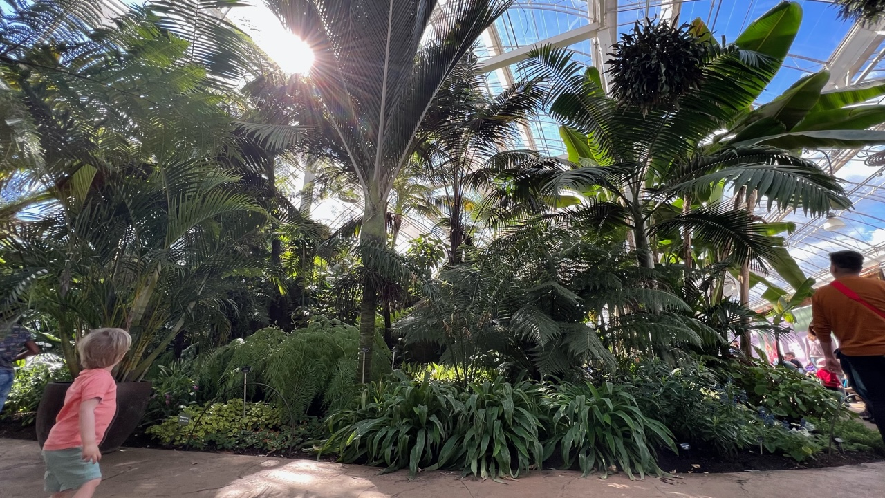 Сады в Wisley – территория экспериментального садоводства | London Cult.