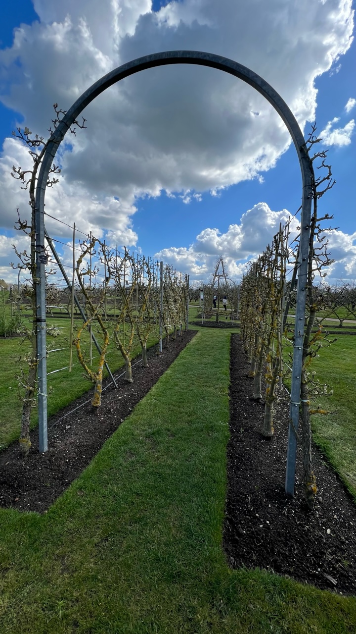 Сады в Wisley – территория экспериментального садоводства | London Cult.