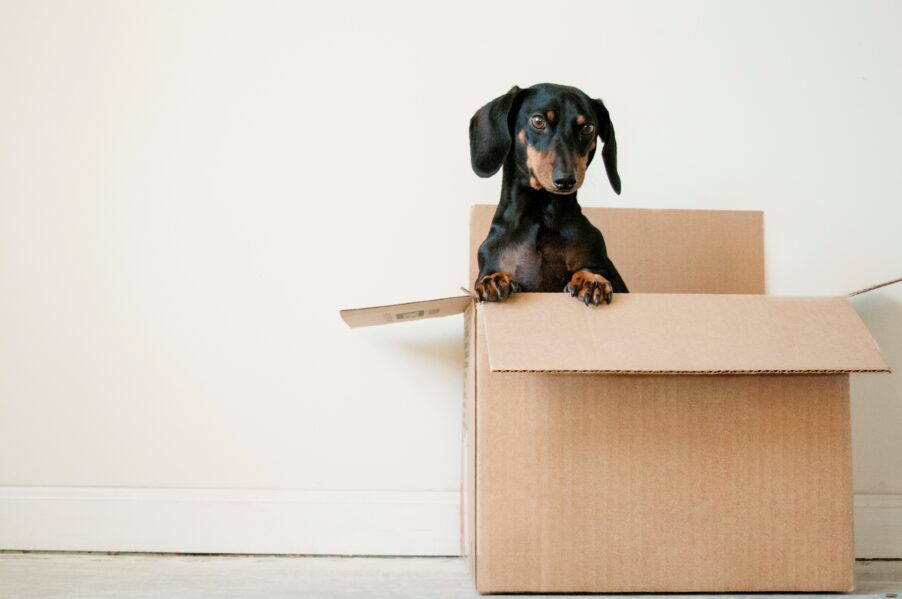 Пять новых ипотек: бездепозитная , с 0% , до 80 лет и другие… | London Cult.