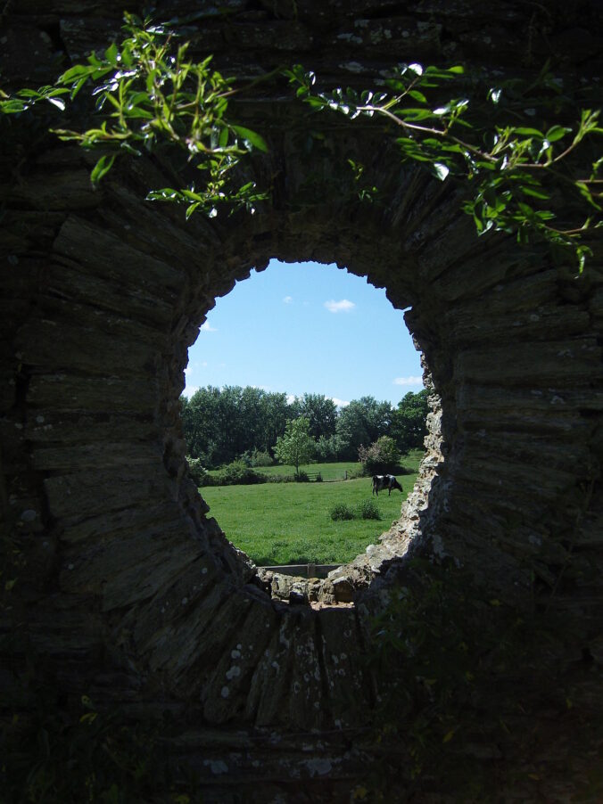 Сад Гертруды Джекилл в Суррее станет национальным достоянием | London Cult.