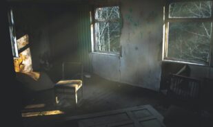 Black mould. Misunderstood organism. Home invading villain. | London Cult.