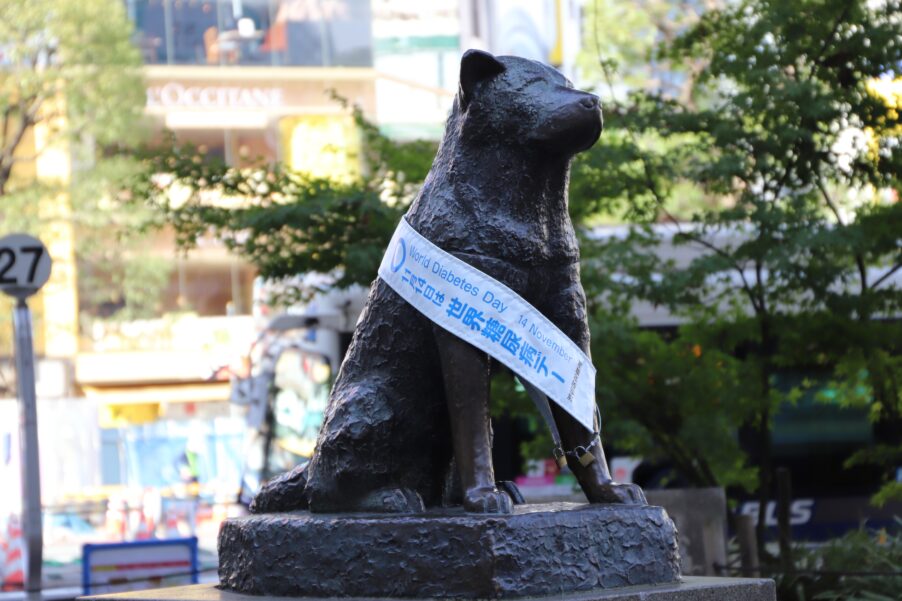 Верность Хатико, о которой помнят уже 100 лет | London Cult.