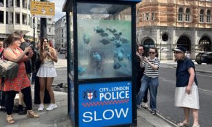 "London Zoo" by Banksy | London Cult.