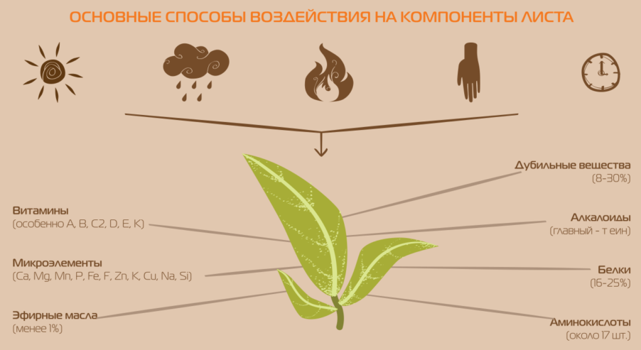 Основные способы воздействия на компоненты листа