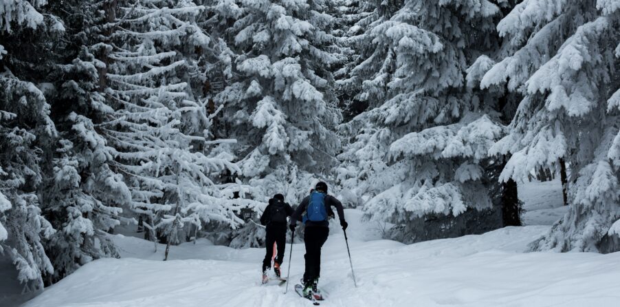 Солнечный зимний отпуск, чуть превышающий стоимость отопления | London Cult.