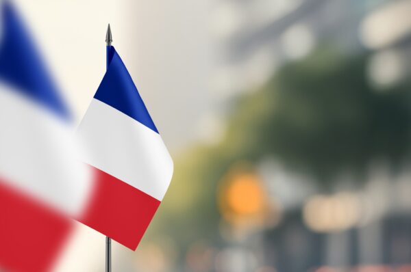 Small,Flags,Of,France,On,A,Blurred,Background