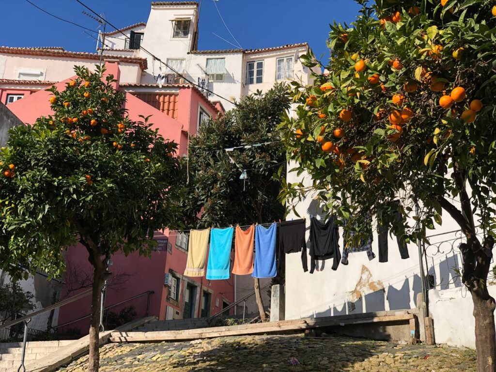 a charming Lisbon street with colorful Mediterranean-style houses, including a distinctive pink facade. In the foreground, two orange trees with ripe fruits frame a clothesline with laundry drying in the sunlight. A cobblestone path and a staircase add to the warm, southern city atmosphere.