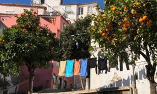 a charming Lisbon street with colorful Mediterranean-style houses, including a distinctive pink facade. In the foreground, two orange trees with ripe fruits frame a clothesline with laundry drying in the sunlight. A cobblestone path and a staircase add to the warm, southern city atmosphere.