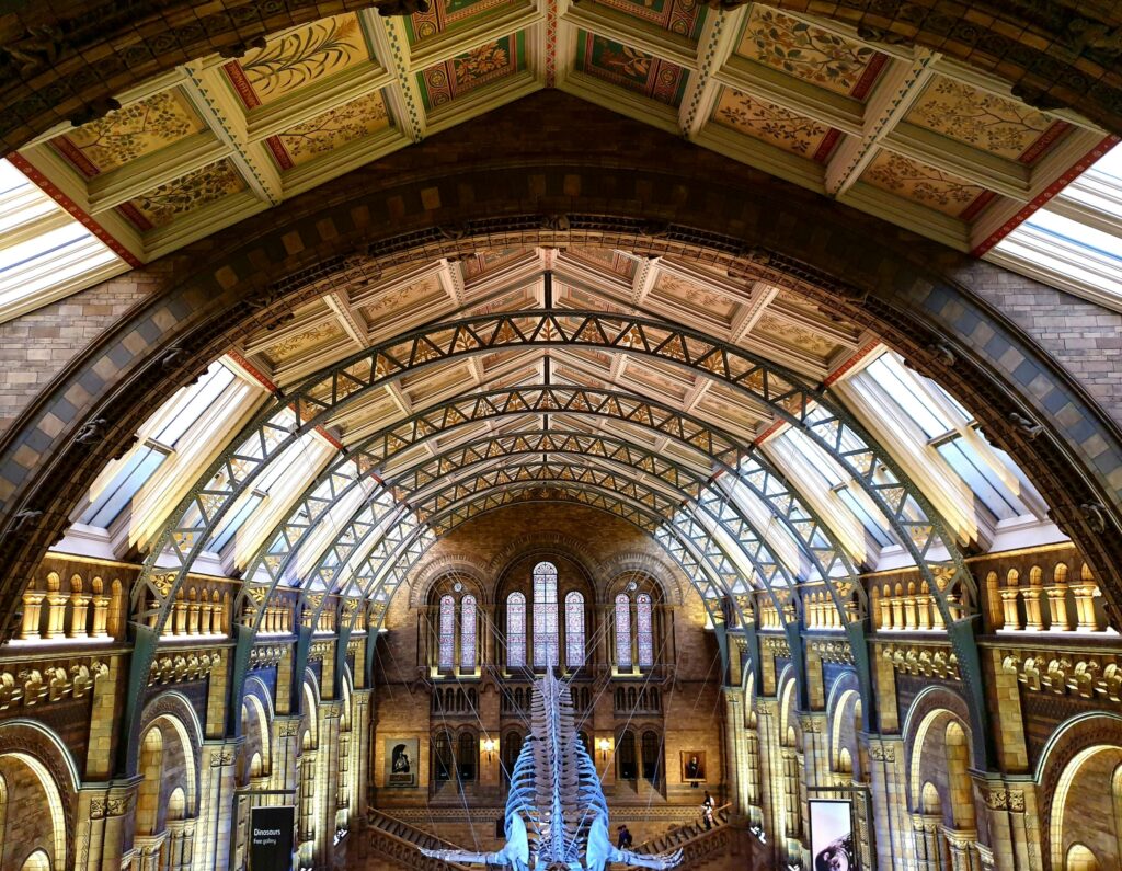 Interior of the Central Hall in the Natural History Museum in London, England, UK