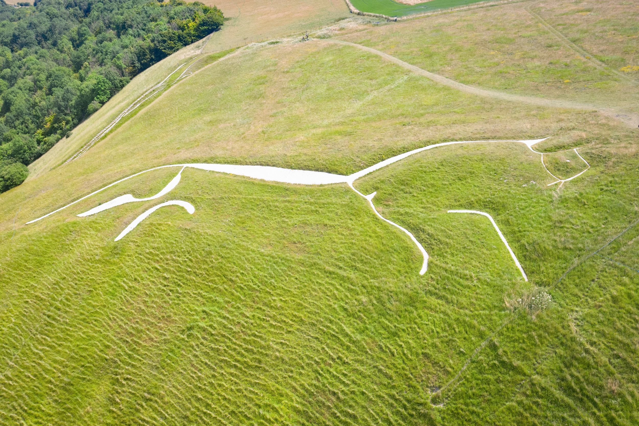 Aerial view to legendary Uffington White Horse in England.