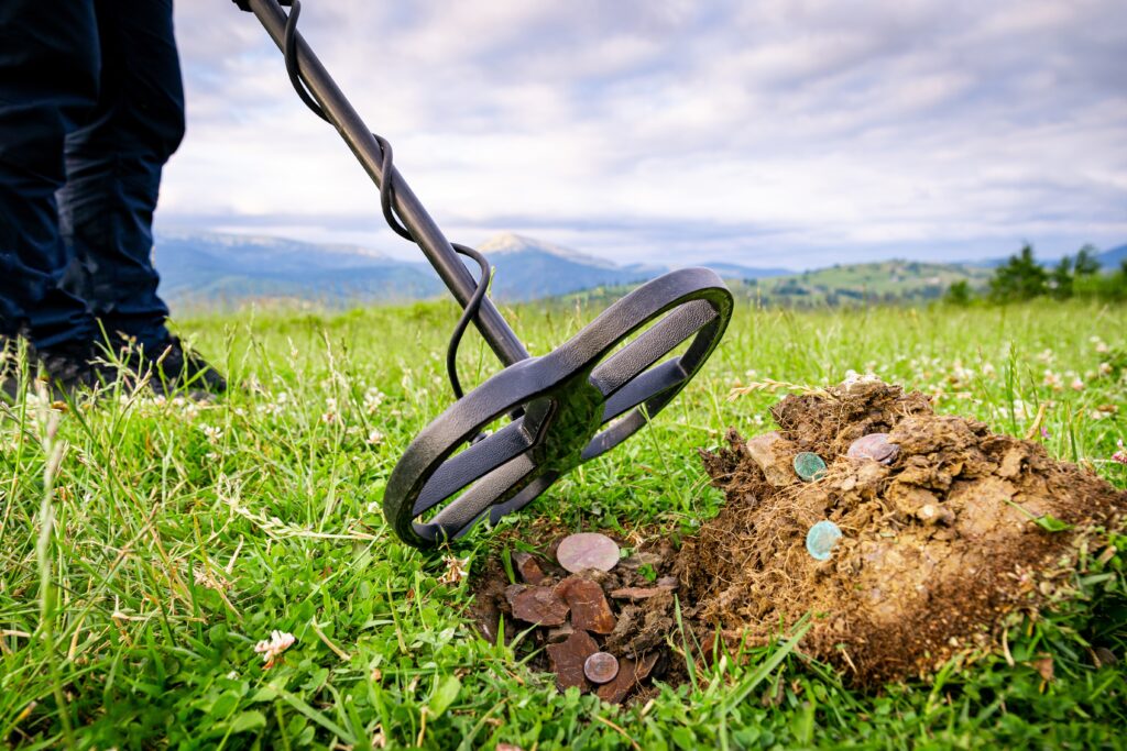 Search for coins with a metal detector. Search for ancient treasures.
