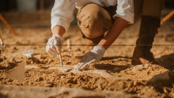 Archeological Excavation Digging Site. Close-up Focus on Hands