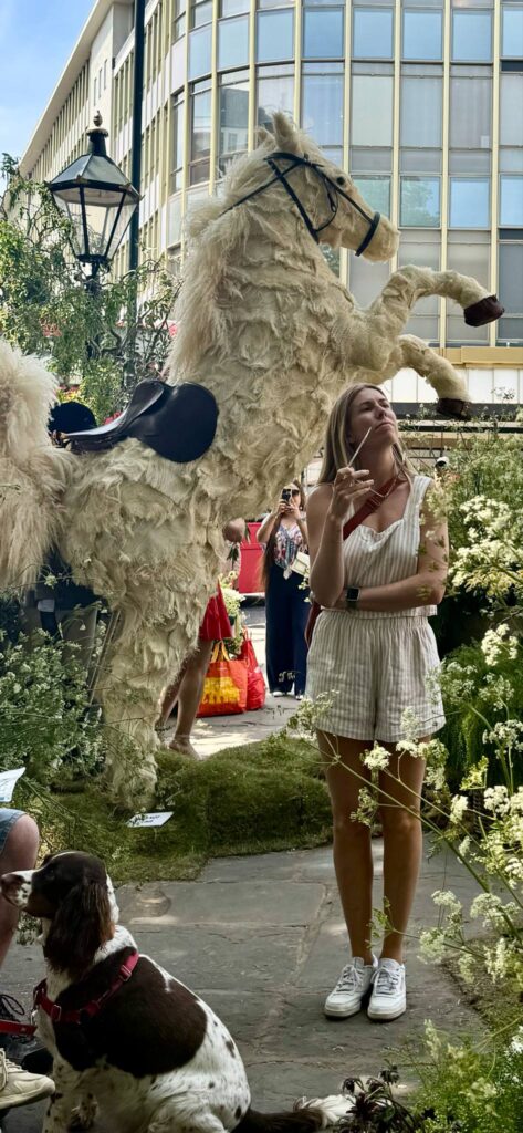 Цветение с оттенком сюрреализма: Chelsea Flower Show 2025 | London Cult.