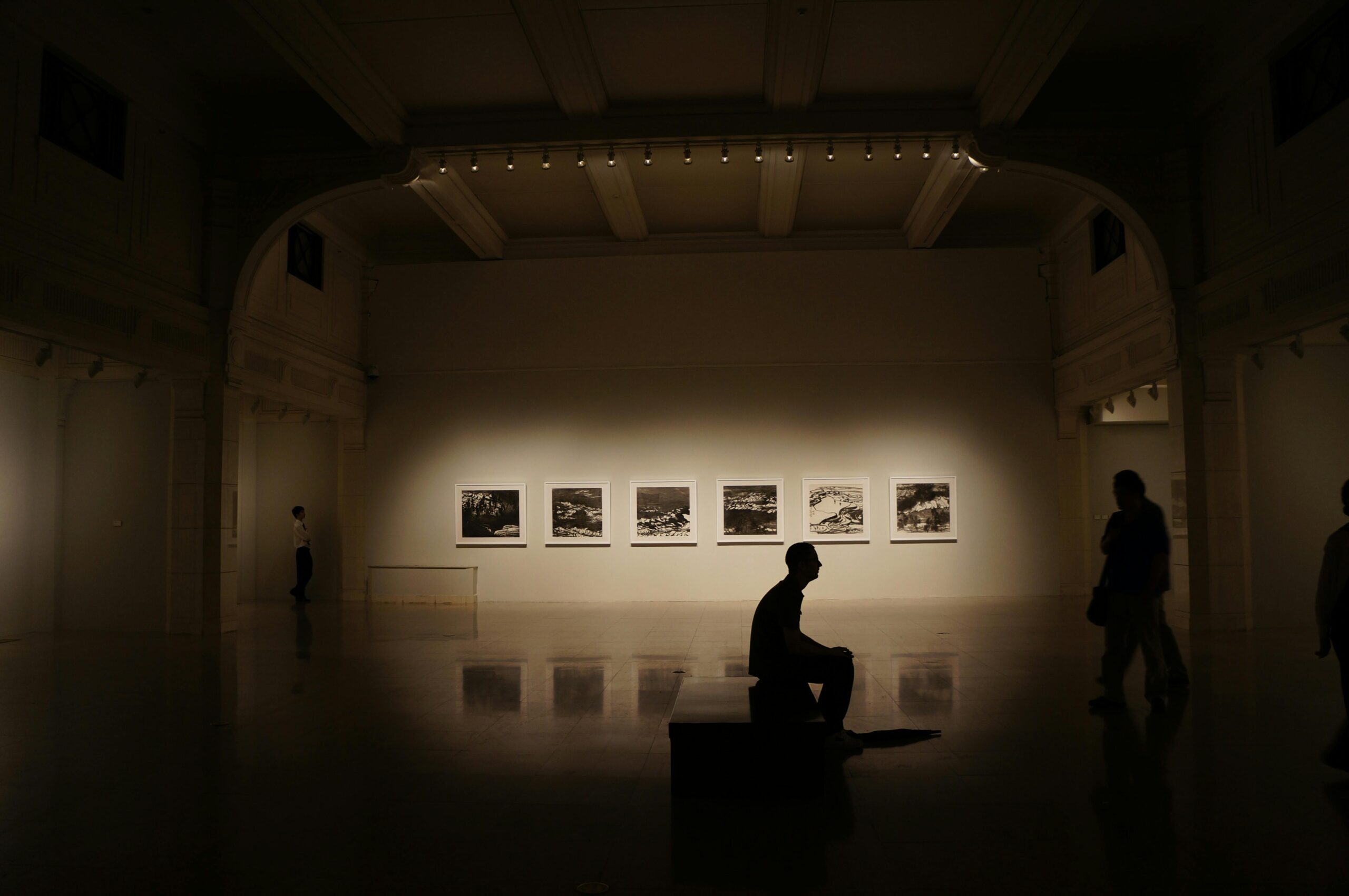 Silhouette of Person Sitting on Bench in the gallery with the paintings on the wall