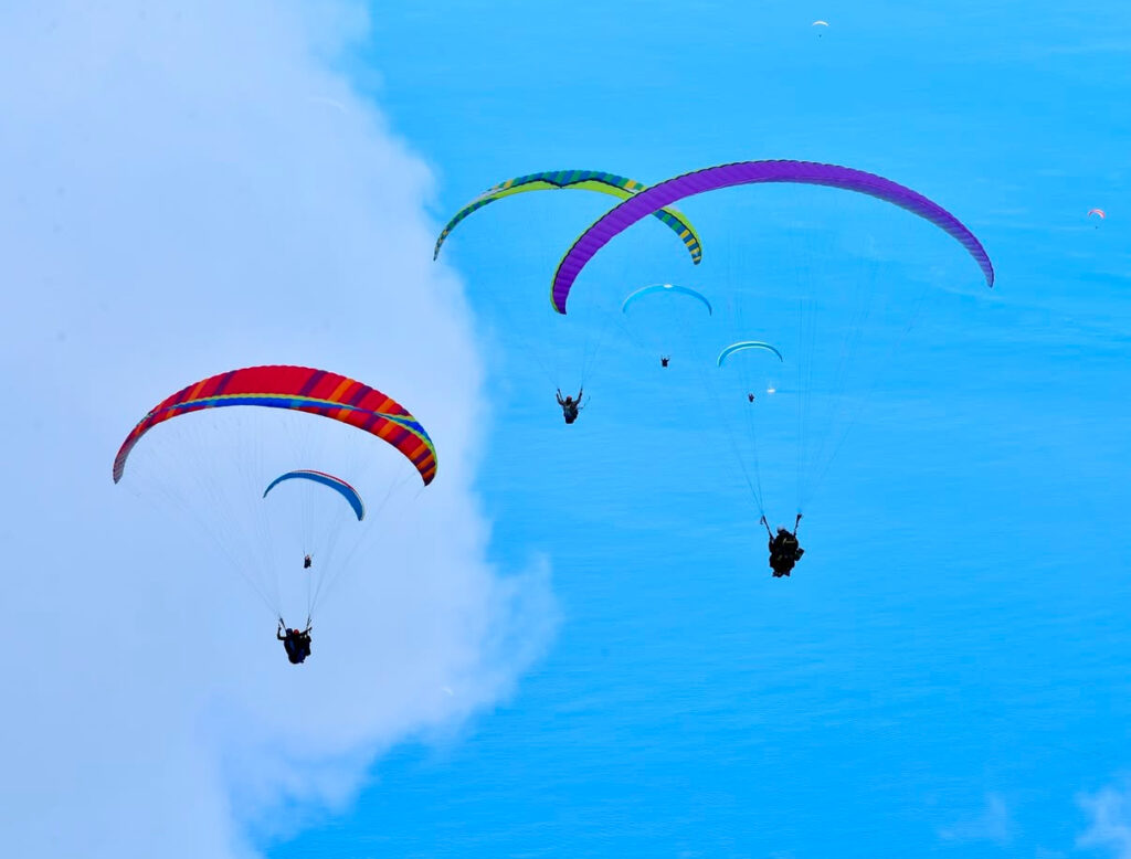 From the Travel Notebook in Turkey: Day Two – Paragliders, Butterflies, Festival, Fish | London Cult.