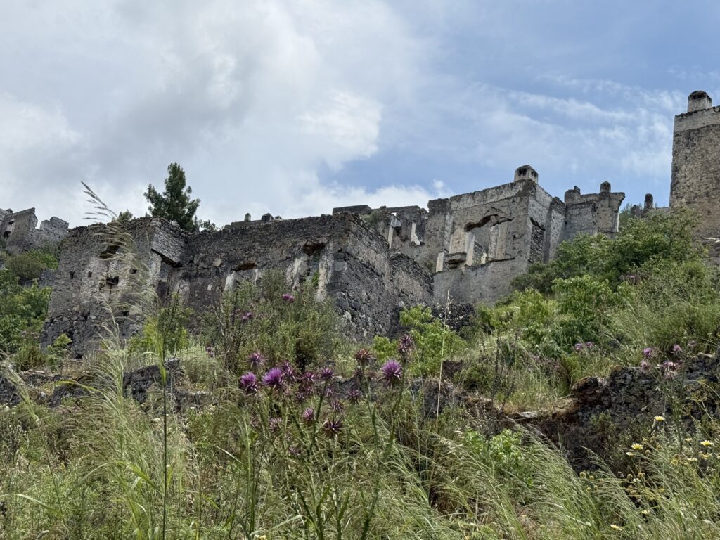 From the Travel Notebook in Turkey: Day Two – Paragliders, Butterflies, Festival, Fish | London Cult.
