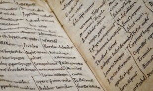 Close-up of Ancient Manuscript with Latin Text