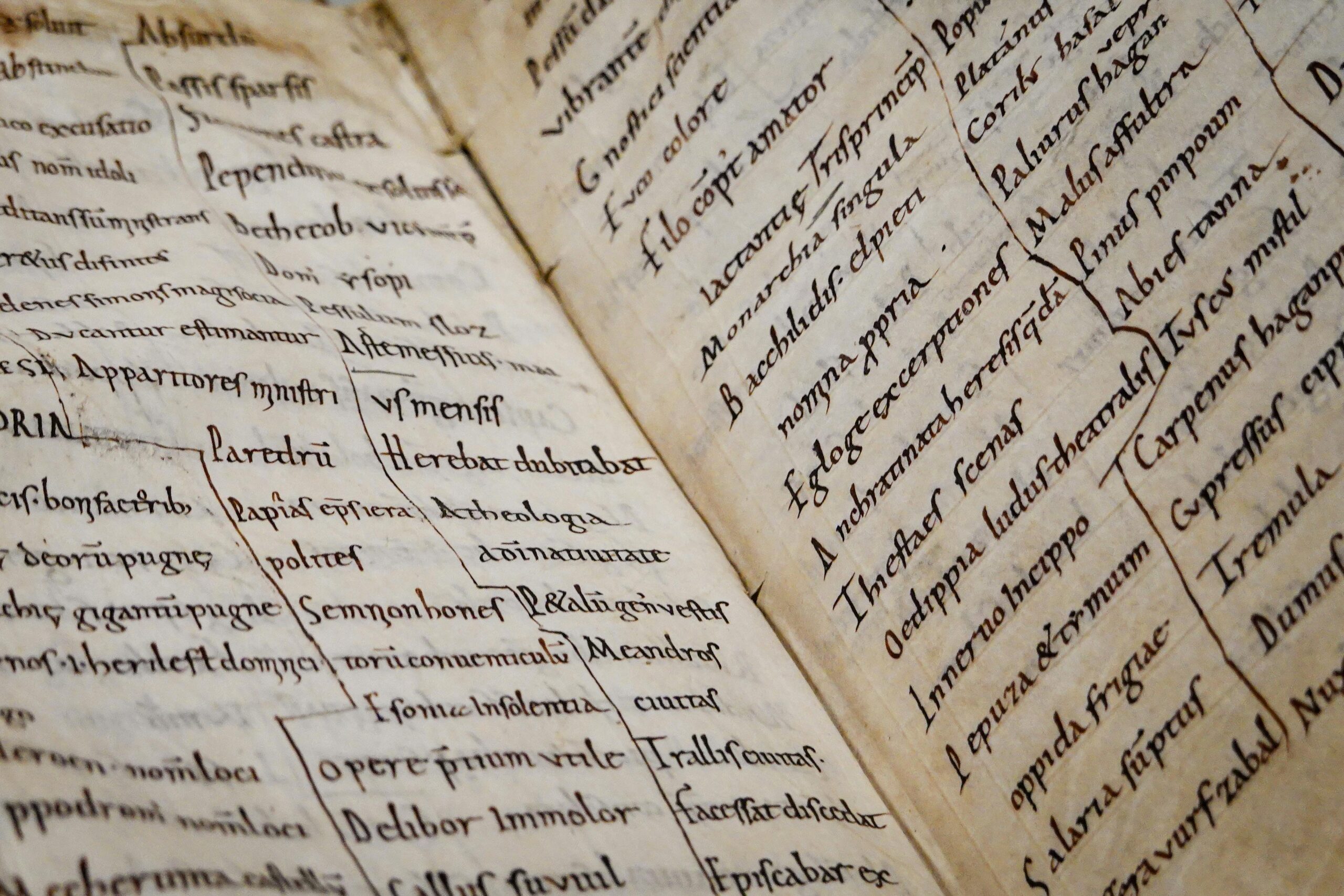 Close-up of Ancient Manuscript with Latin Text
