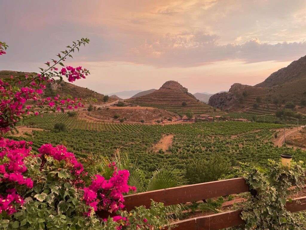 Stones, Wind, and Wine: How the Turkish Winery Asarcik Revived an Ancient Tradition | London Cult.