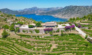 Stones, Wind, and Wine: How the Turkish Winery Asarcik Revived an Ancient Tradition | London Cult.