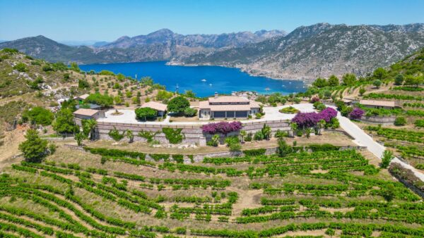 Stones, Wind, and Wine: How the Turkish Winery Asarcik Revived an Ancient Tradition | London Cult.