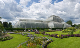 Botanical Time Machines: What to See in London’s Glasshouses? | London Cult.