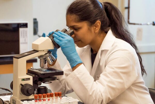 Woman observing samples under the microscope