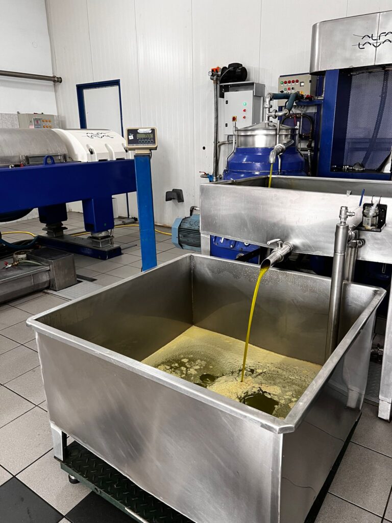 The Journey of Olive Oil: From Tree to Bottle | London Cult.