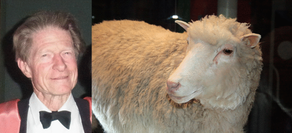 Умер «крёстный отец» клонированной овечки Долли, лауреат Нобелевской премии Джон Гёрдон | London Cult.