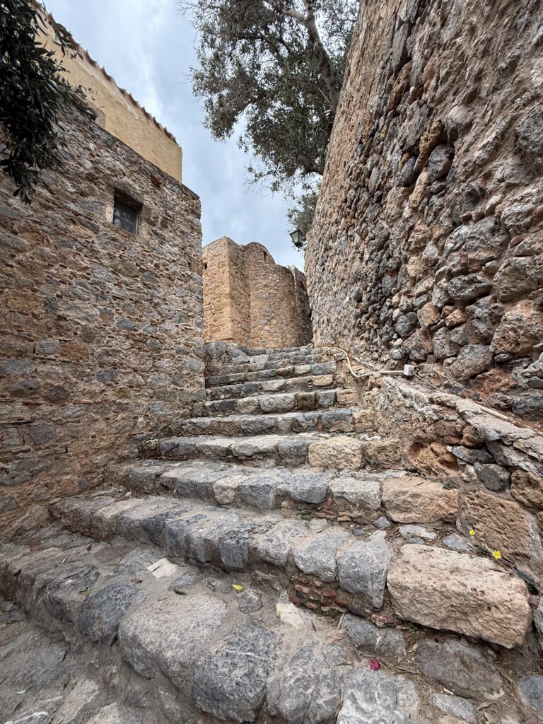 Как это бывает: страда сбора оливок в Пелопоннесе | London Cult.