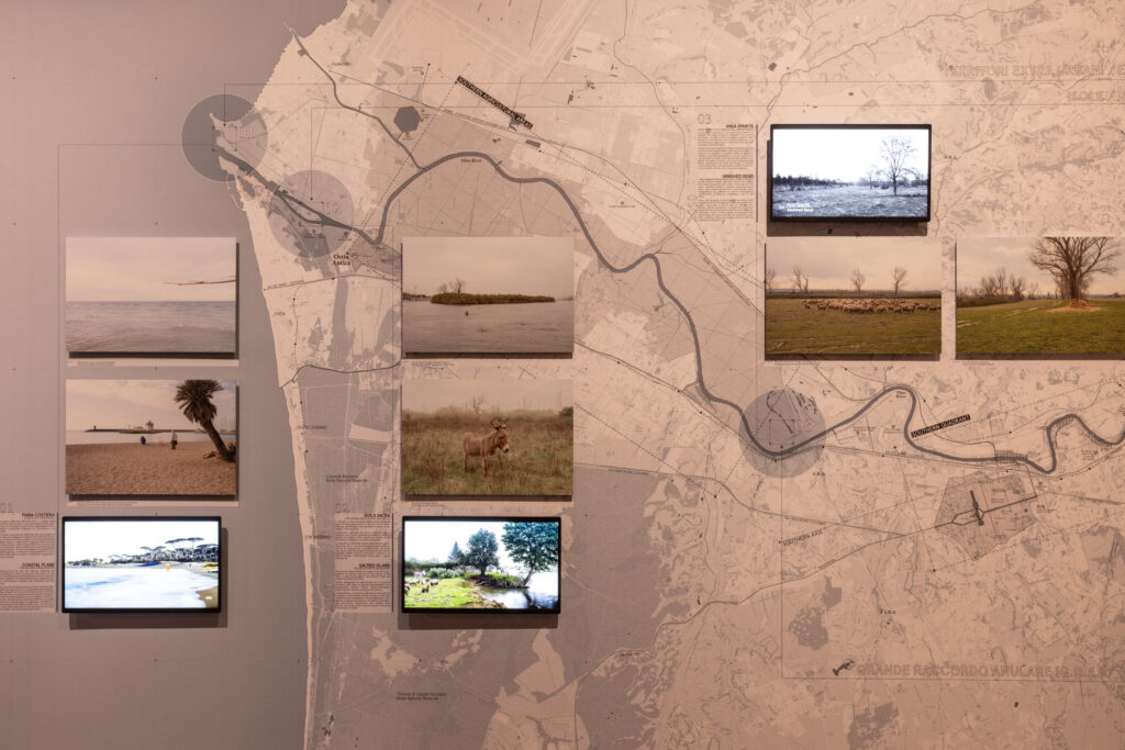 Чем запомнилась Архитектурная биеннале-2025 в Венеции | London Cult.