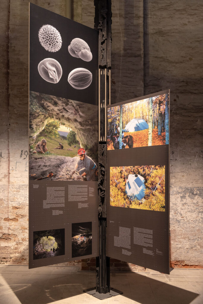 Чем запомнилась Архитектурная биеннале-2025 в Венеции | London Cult.