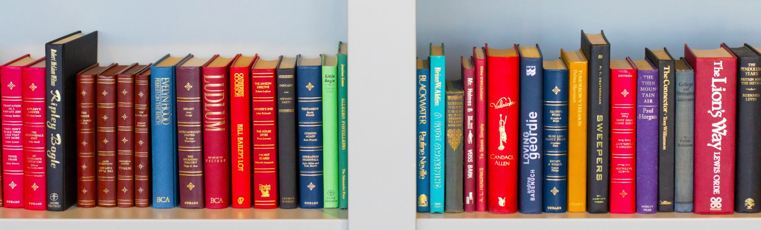 nick-fewings-f2Bi-VBs71M-unsplash