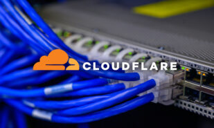 Cables connected to server ethernet ports. Photo by Brett Sayles / Pexels