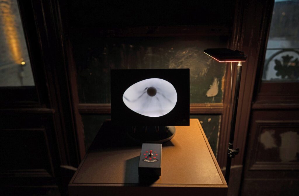 Выставка «Последний вагон»: ни здесь, ни там, а на пороге | London Cult.