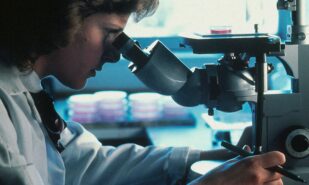 Иммунные клетки «переписали», чтобы победить рак крови | London Cult.