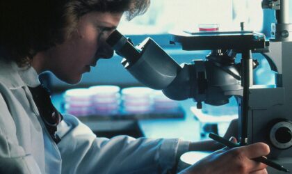 Иммунные клетки «переписали», чтобы победить рак крови | London Cult.