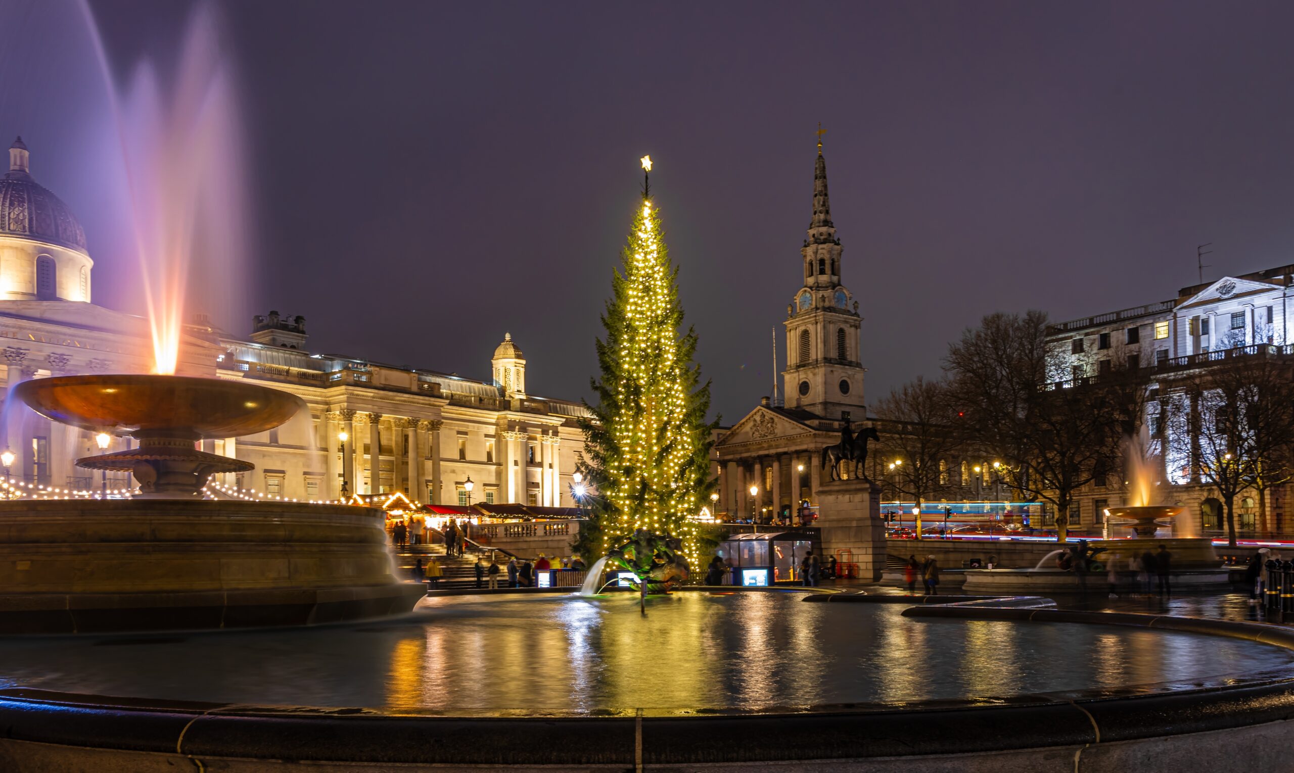 Trafalgar Square Christmas tree, a Norwegian spruce, on Trafalgar square in London