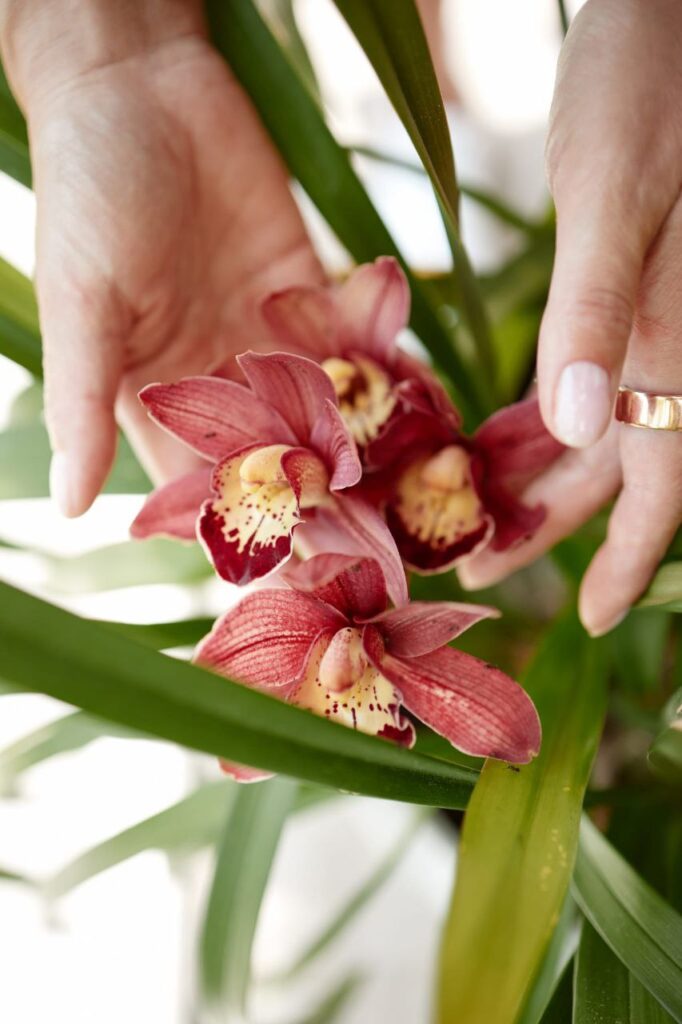 Хозяйка виллы, модель, клоун, коуч: тернистый путь одной благополучной жизни | London Cult.