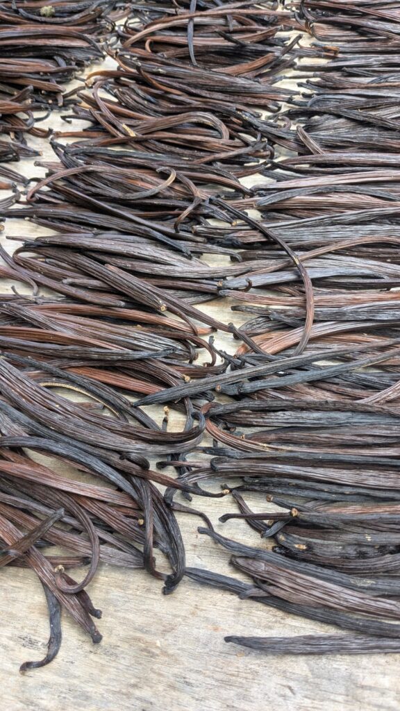 Spices for sale at market, Bali, Indonesia
