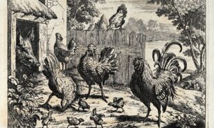 Под одной крышей: Англия раннего Нового времени и её животные | London Cult.