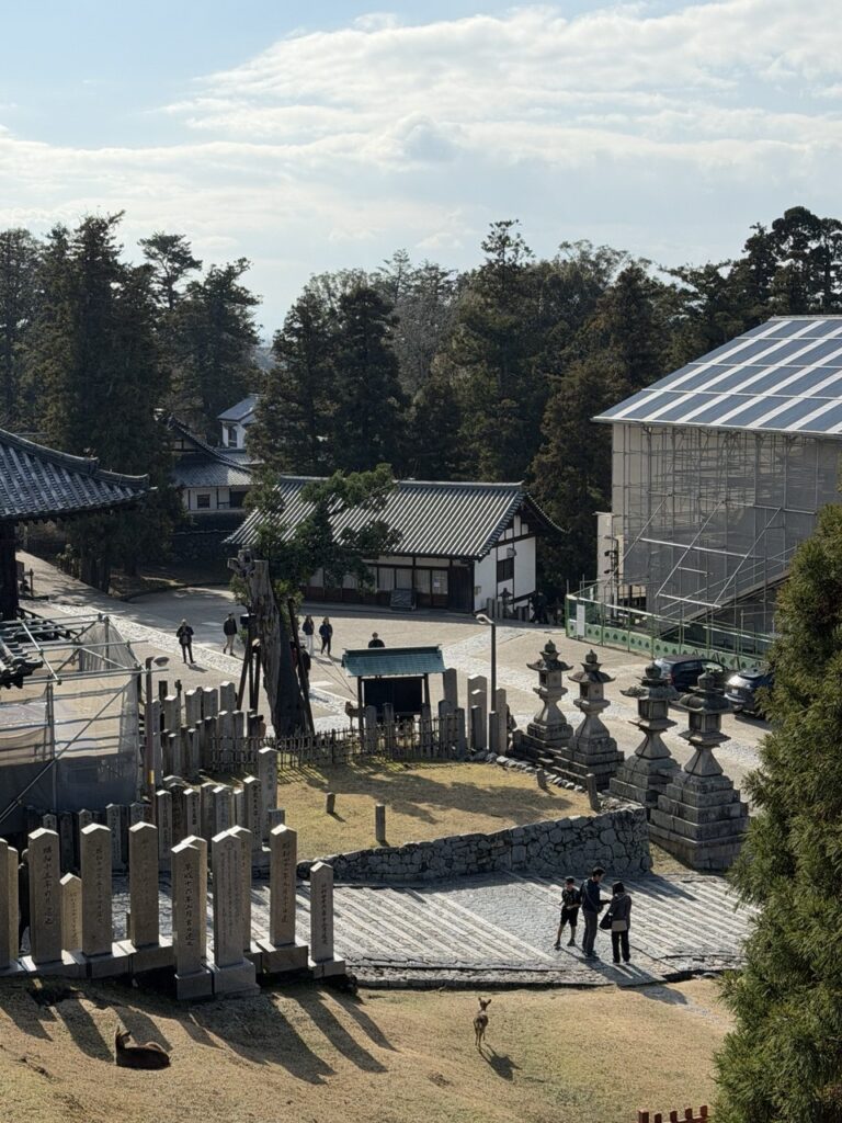 Семь остановок в Японии: путешествие по безупречной стране | London Cult.