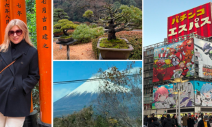 Семь остановок в Японии: путешествие по безупречной стране | London Cult.