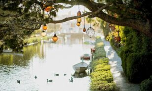 Пять лет работы и £2,5 млн: в Лондоне открылся обновлённый Queens Park Canalside | London Cult.