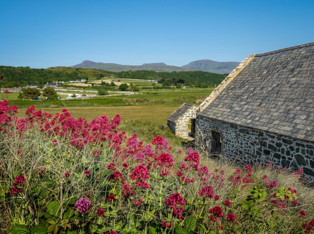 Под одной крышей: Англия раннего Нового времени и её животные | London Cult.