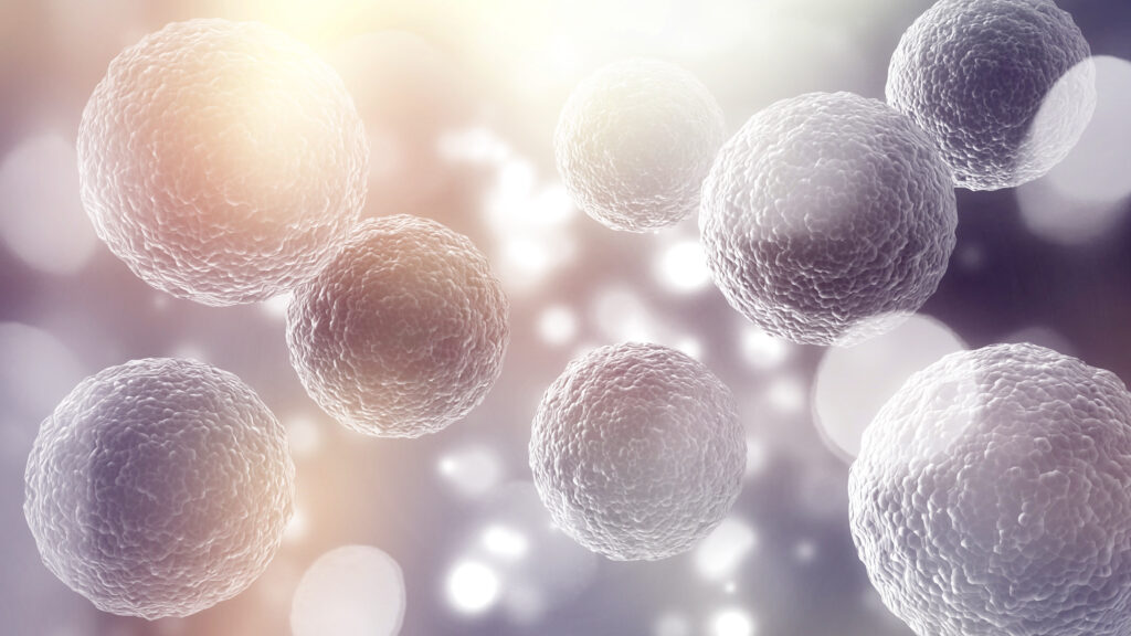 Стволовые клетки: что это такое и все ли стволовые клетки одинаковые?  | London Cult.