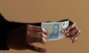 Вместо Черчилля — животные и птицы: Банк Англии собирается поменять дизайн банкнот | London Cult.